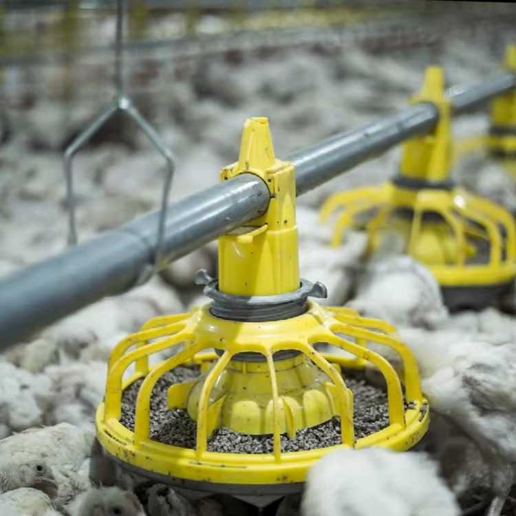Agriculture Farming Equipments - Landwirtschaftliche Ausrüstung für Hühner- und Geflügel/Broilerfuttergeräte/Ausrüstung