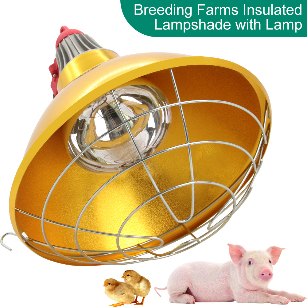 Vieh Schwein Breut Wärmer Heiz – Farming Equipment For Agriculture Bewertung und Preis