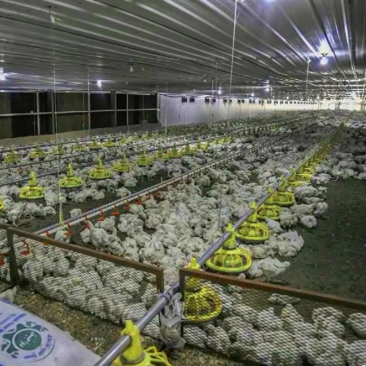 Landwirtschaftliche Ausrüstung – Agriculture Farming Equipments Bewertung und Preis