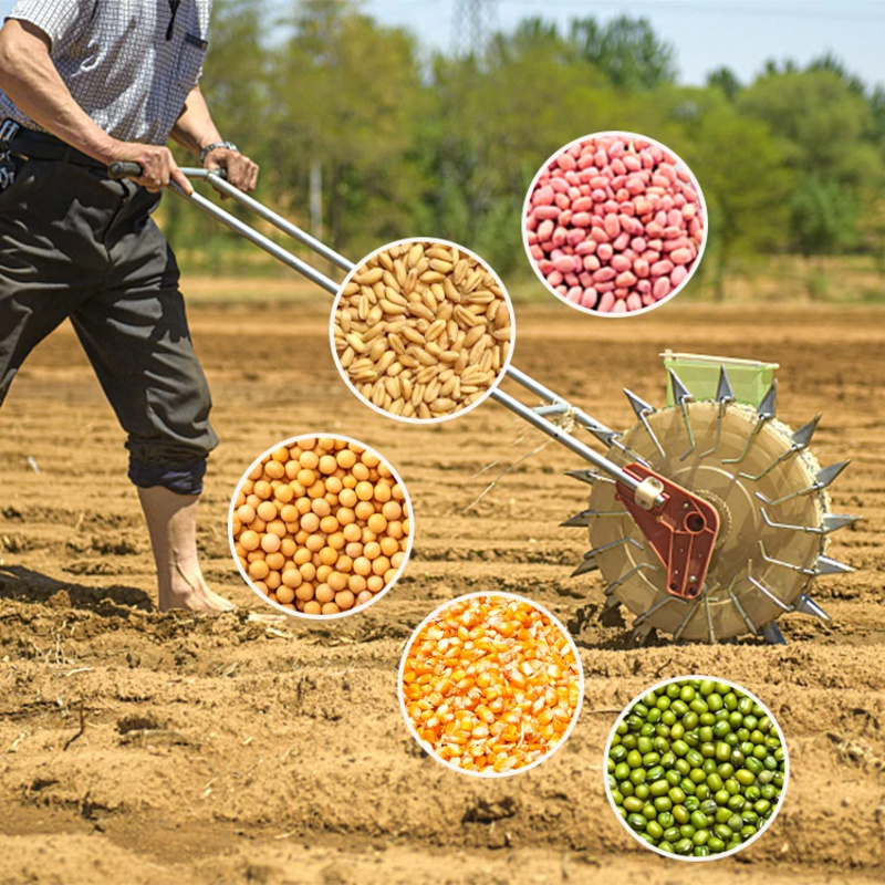 Landwirtschaftliche Zwiebel-,  – Agriculture Onion Farming Bewertung und Preis