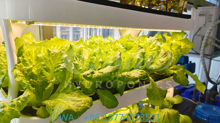 c Landwirtschaftsmaschine zum  – Agriculture Farming Equipments Bewertung und Preis